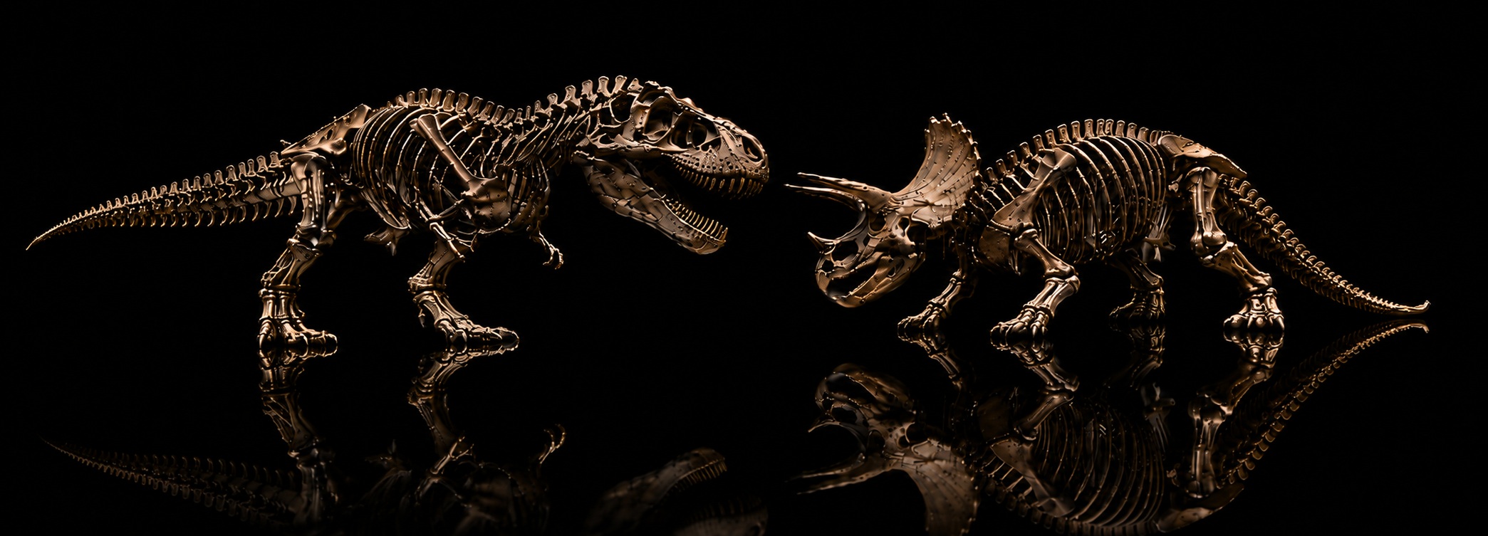 Fossil Dude natural-history hero image